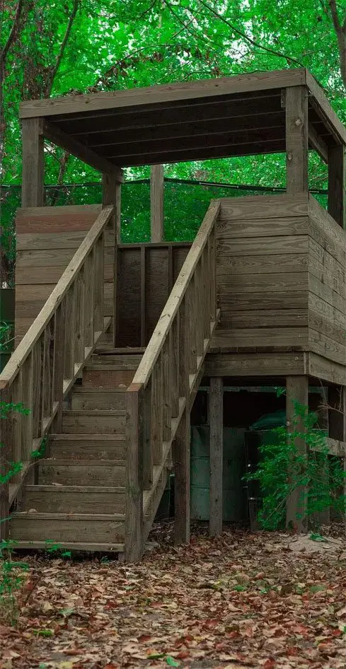 A small wooden cabin in a forest