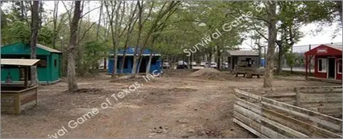 Small wooden houses in a forest