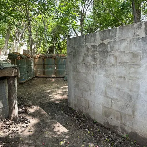 Survival Game of Texas