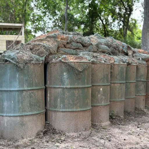 Survival Game of Texas