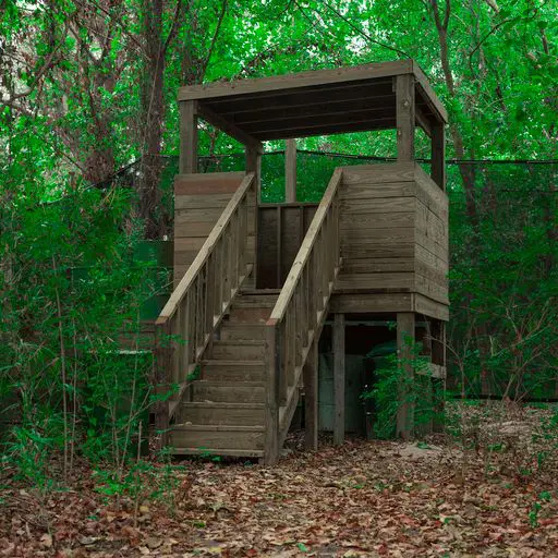 Survival Game of Texas