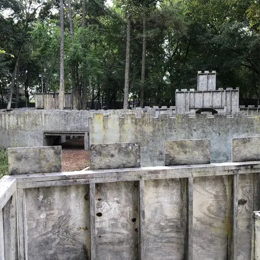 Survival Game of Texas