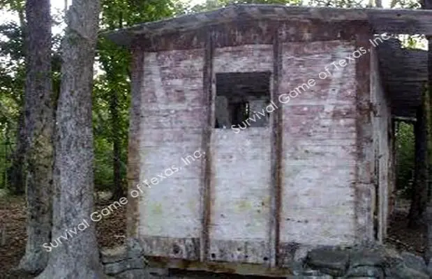 Survival Game of Texas