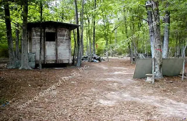 Survival Game of Texas