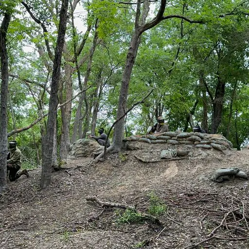 Survival Game of Texas