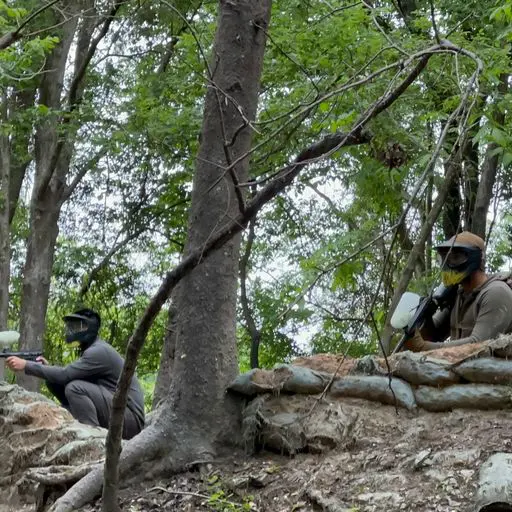 Survival Game of Texas