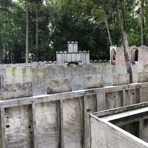 Survival Game of Texas