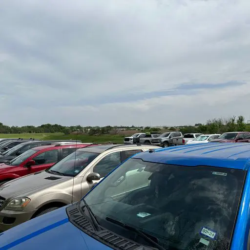 Survival Game of Texas