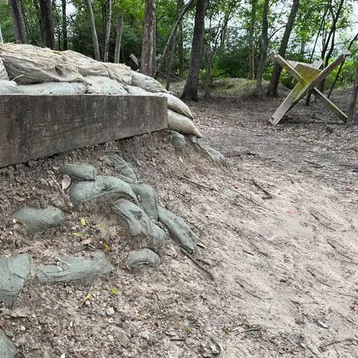 Survival Game of Texas