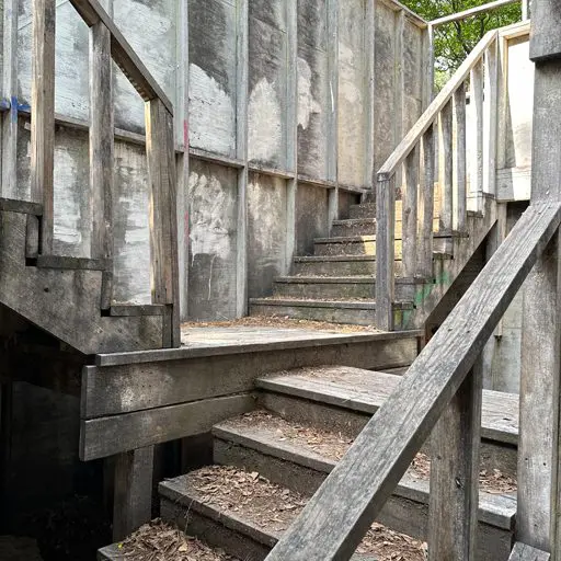 Survival Game of Texas