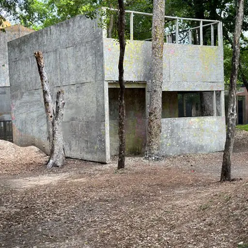 Survival Game of Texas