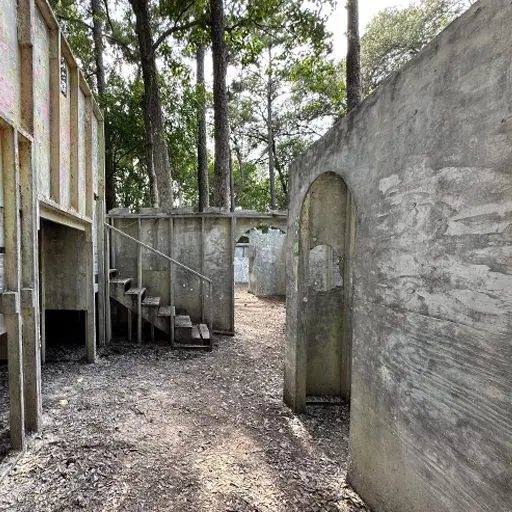 Survival Game of Texas