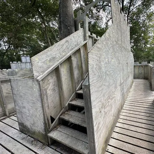 Survival Game of Texas