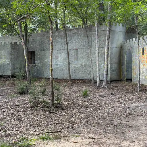 Survival Game of Texas