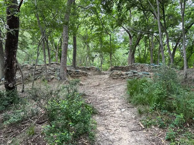 Survival Game of Texas