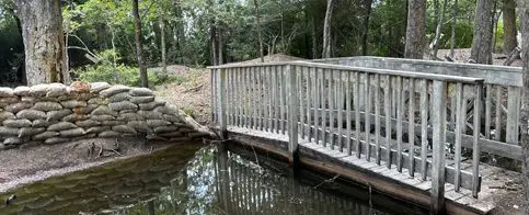 Survival Game of Texas