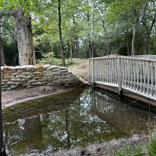 Survival Game of Texas