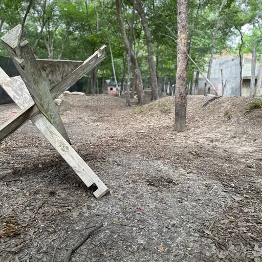 Survival Game of Texas