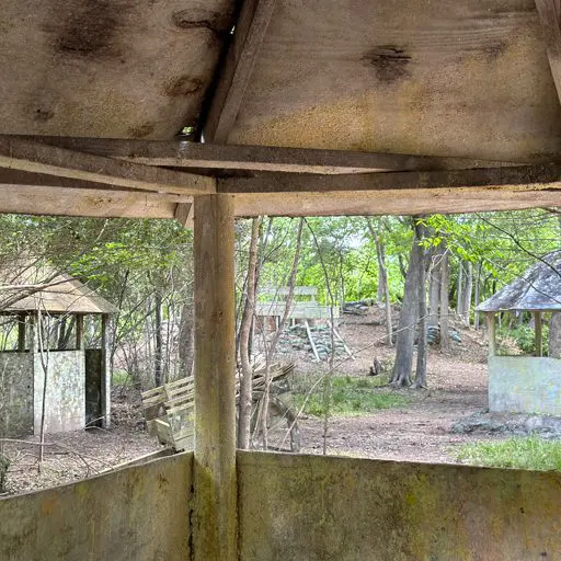 Survival Game of Texas