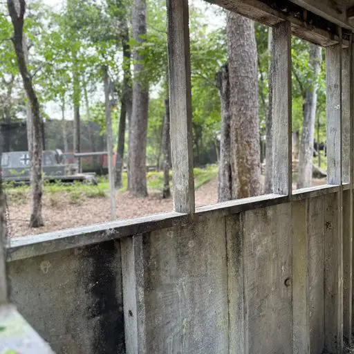 Survival Game of Texas