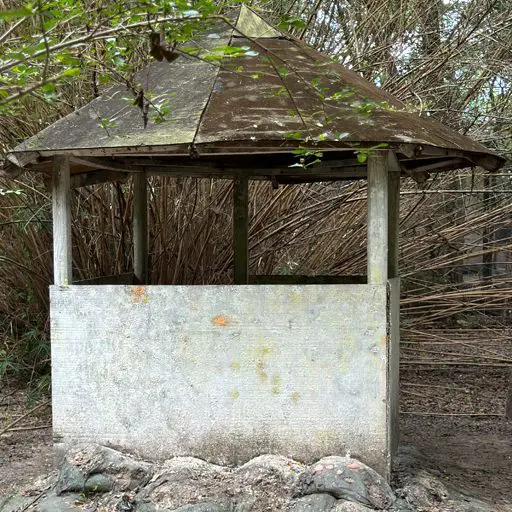 Survival Game of Texas