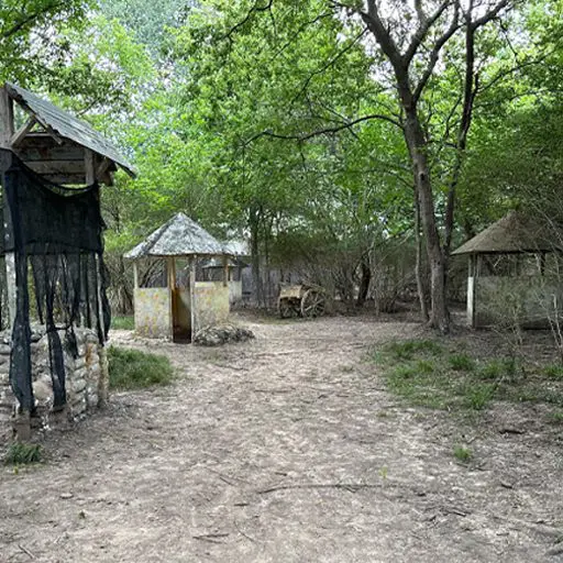 Survival Game of Texas