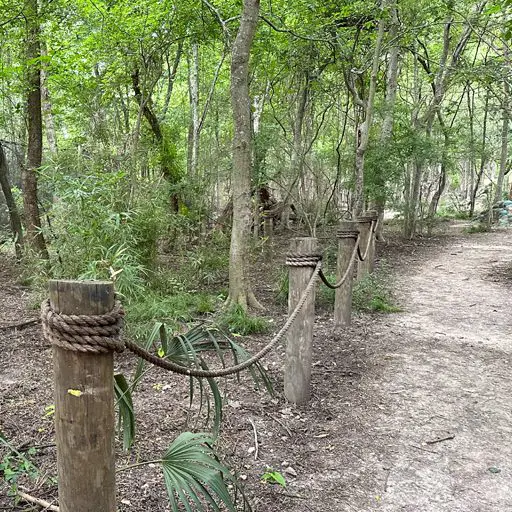 Survival Game of Texas