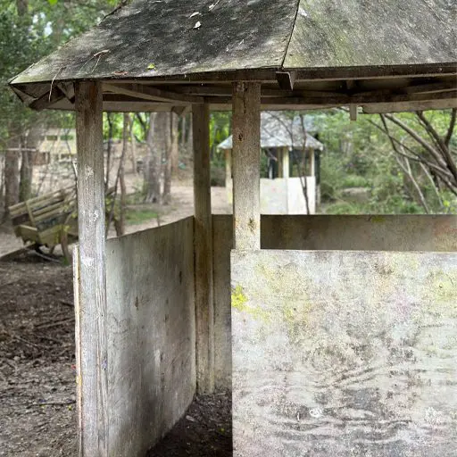 Survival Game of Texas