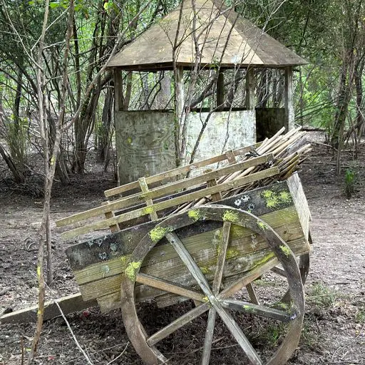 Survival Game of Texas